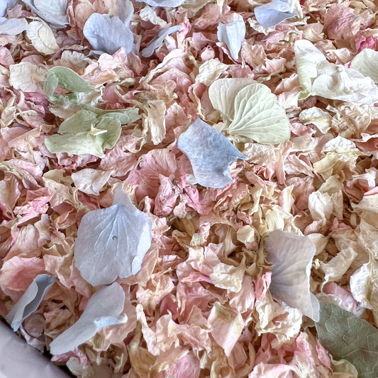 Pastel Rainbow Petal mix