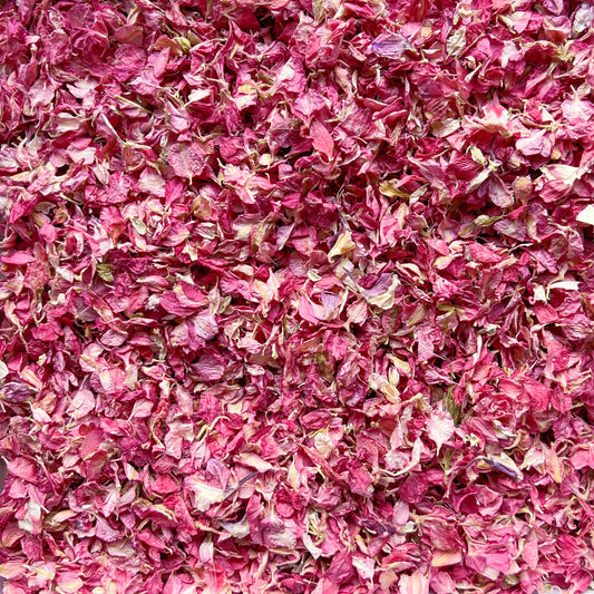 Raspberry Pink Delphinium Petals