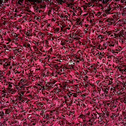 Burgundy Cornflower Petals