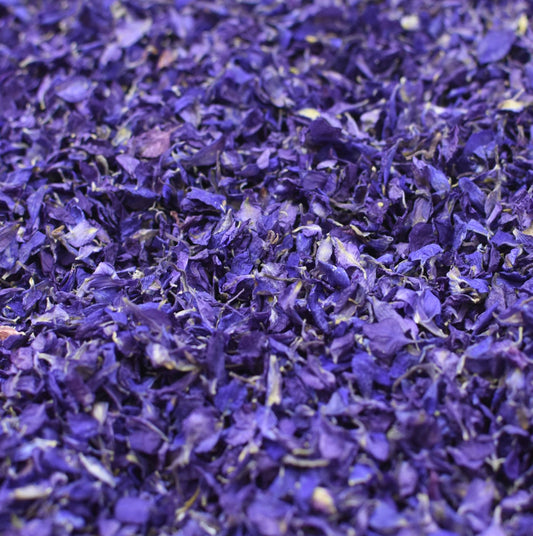 dark blue delphinium petal