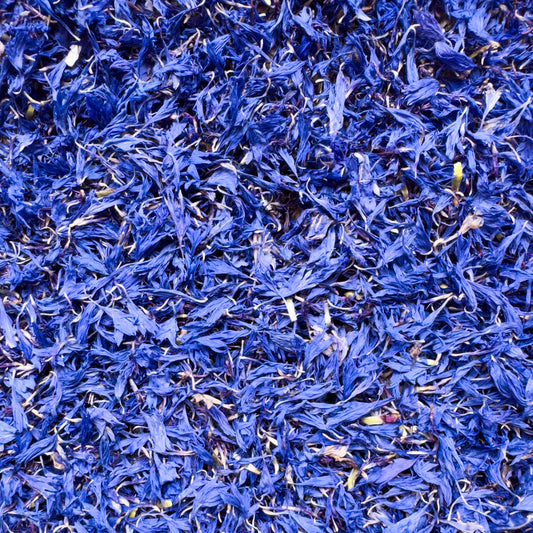 Dark Blue Cornflower Petals